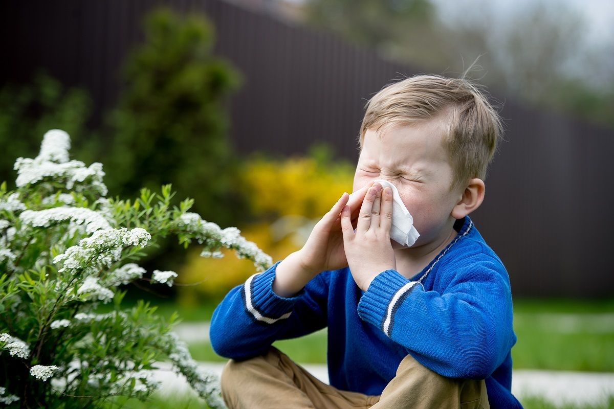 Как уменьшить проявления симптомов аллергии летом | CleanAirLove