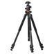 Штатив Vanguard Alta Pro 263AB 100