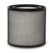 Фильтр Electrolux EFFBTH2 Breathe Pollen
