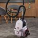Пылесос без мешка Gorenje VCE01SFAWR