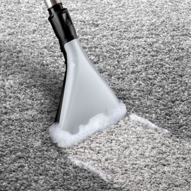 Моющий пылесос BOSCH BWD421PET: фото 10 из 12