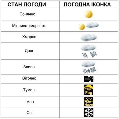 Метеостанція цифрова Wi‑Fi Technoline DirektWetter WD 3050 з бездротовим датчиком, антрацитова: фото 7 із 7