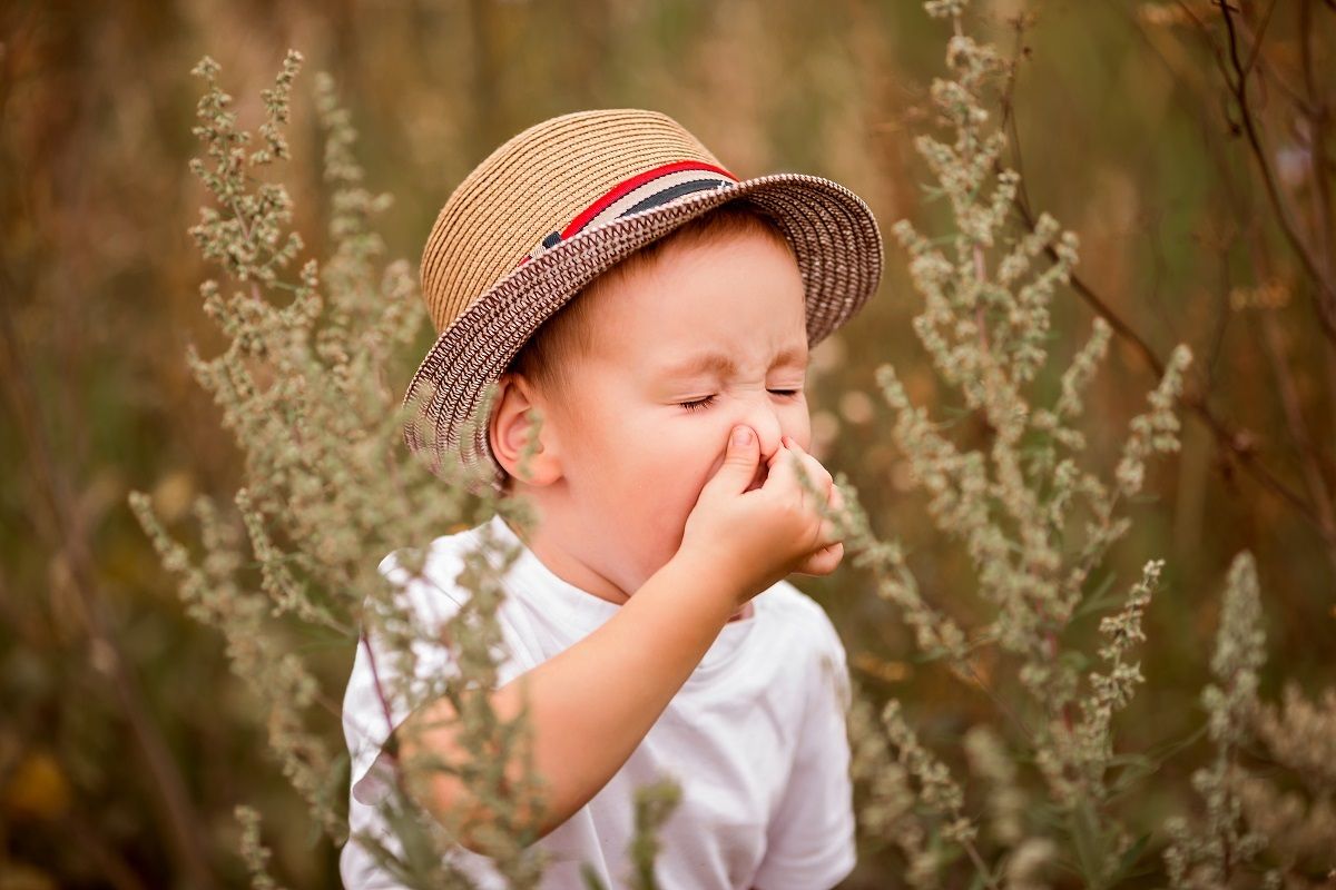 Аллергия на пыльцу у детей: как выбрать очиститель воздуха | CleanAirLove