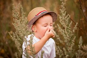 Аллергия на пыльцу у детей: как выбрать очиститель воздуха
