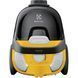 Безмешковый пылесос Electrolux ECGC21-2Y