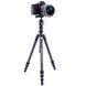 Штатив Vanguard Vesta TB 204CB