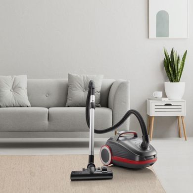 Пилосос з мішком Gorenje VCEA24GPRA: фото 2 із 6