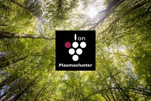 Plasmacluster – природна технологія очищення