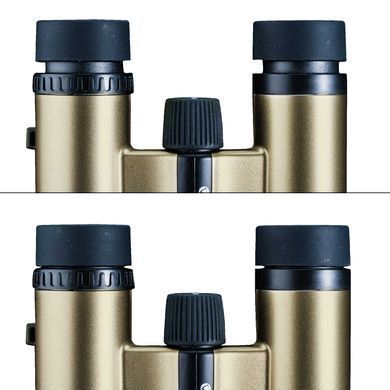 Бинокль Vanguard Vesta Compact 8x21 WP Champagne (Vesta 8210 Cham): фото 13 из 14