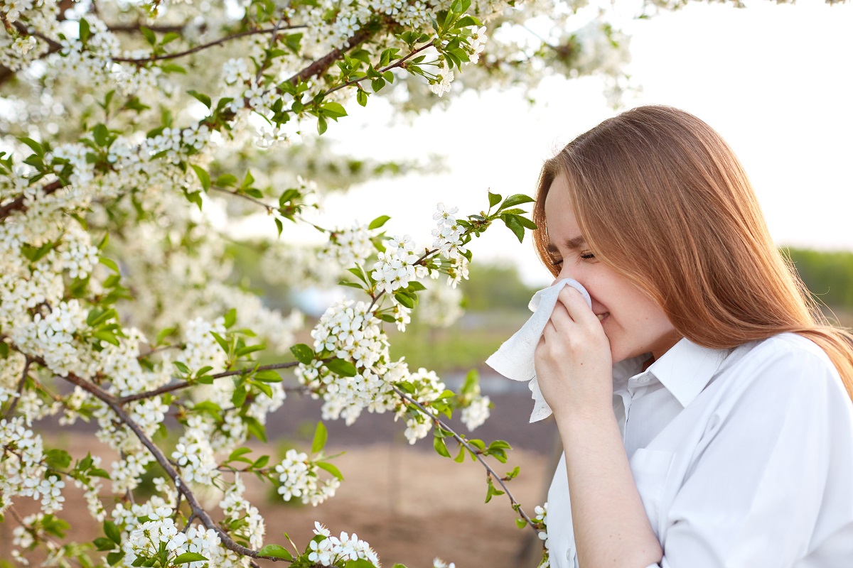 Алергія навесні, поліноз